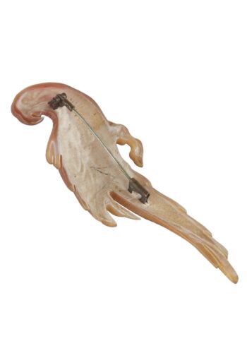 Ca. 1910 - Horn Brooch from Art nouveau, Paris, France, "Parrot" hand-carved & hand-painted - Image 3