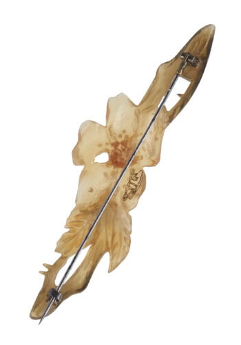 Ca. 1900 - Horn Brooch Motif "Flowering twig", signed by Georges Pierre GIP in Art nouveau France Jugendstil - Image 3